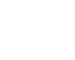 PAteam company white logo